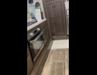Dog bark at urn on kitchen counter