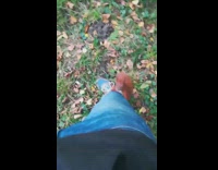 Red squirrel climbs up guys jeans