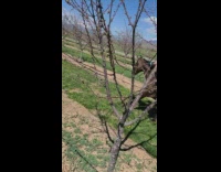 Guy race with another horse back rider