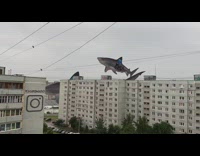 Two virtual shark swim around air 