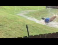 Guy jumps over gate, lays in rain puddle and flounders like a fish