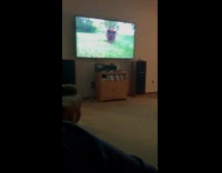 Cat gets scared of the pig on tv