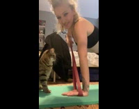 Collab Clips MPUGC2 - Cat kicks woman on face 