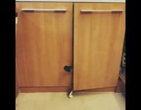 Compilation cat opens cabinets and drawers 
