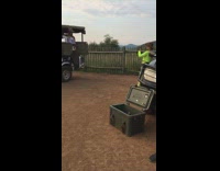 girl on back of golf cart