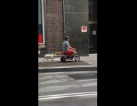 Guy small red motorcycle two dogs sidewalk 