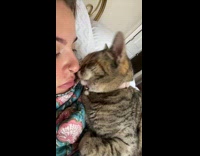 Collab Clips MPUGC - Cat gives hooman nose to nose kisses