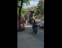 Big giant inflatable rat in the back of pick up truck 