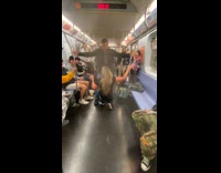 Drunk passengers dirty dance on the subway