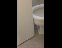 Door closes near the toilet bowl in the apartment