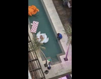 Girl on white swan pool float rooftop