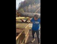 Collab PubityPets - Man Carries Log then Drops in Well