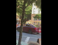 Driver plays maracas through sunroof