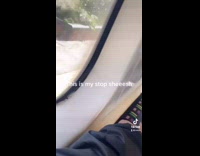 Collab Bitch MP - Pigeon gets off of subway stop 