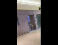 Tiny pigeon found inside airport 