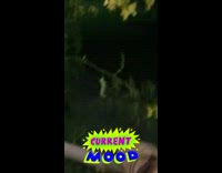 Girl touches green caterpillar with brown shoe 