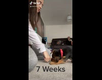 Collab BitchMP - 7 weeks versus 1 year of dog training