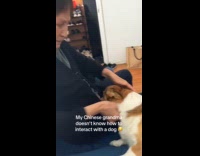 Grandma pets dog for the first time