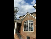 Lady Wails at Bird and Chirps Back