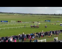ClipsIG - Crowd Cheers and Whistles over Intense Horse Race