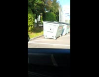 Small spider dances on the car window