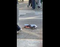 Two pigeons pizza party on the street