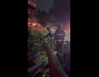Huge tree crash blocks the whole street