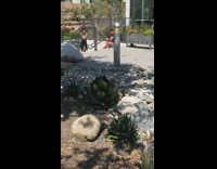 Guy sit wipe review food face mask