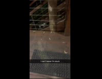 Man Shoos Away Possum from Tree House