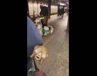 Man pulls down pants and uses restroom in subway station, then wipes butt with toilet paper napkin