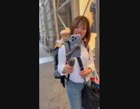 Cat with hat on backpack of woman