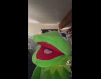Collab BitchIG2 - Kermit puppet asks guy if today is friday