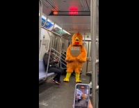 Chicken squawking sells egg during train ride