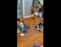 Collab PubityPets - Segregated Clothes in Line for Washing Machine