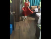 Brown dog runs away from lady in dress 