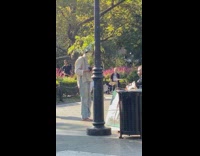 Barefoot person tree branch in shirt park 