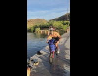 Collab scorpionmasters - Guy red bicycle backflip wood dock fail