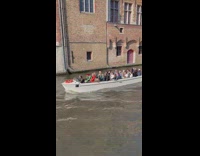 Dog looks at views on boat canal 