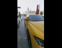 Guy touches car with dont touch sign 