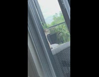 Cat outside on porch making weird noises 
