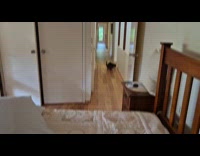 Woman playing fetch with pet cat 