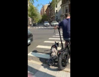 Man rides bike beside dog on scooter