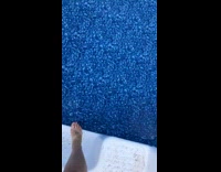 Girl slips and falls into pool
