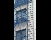 Wild turkey sit on fire escape balcony