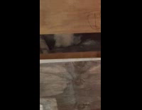 Explosions and smoke come from drainage part 1