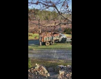 Truck reverse drop tree on its back