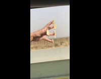 Guy red shirt keeps pieces of tortilla chips on his hand