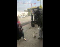 Woman is told she cant pet cat on leash 