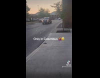 Two cars race backwards at parking lot