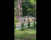 Two girls dance matching pink skirts ballet